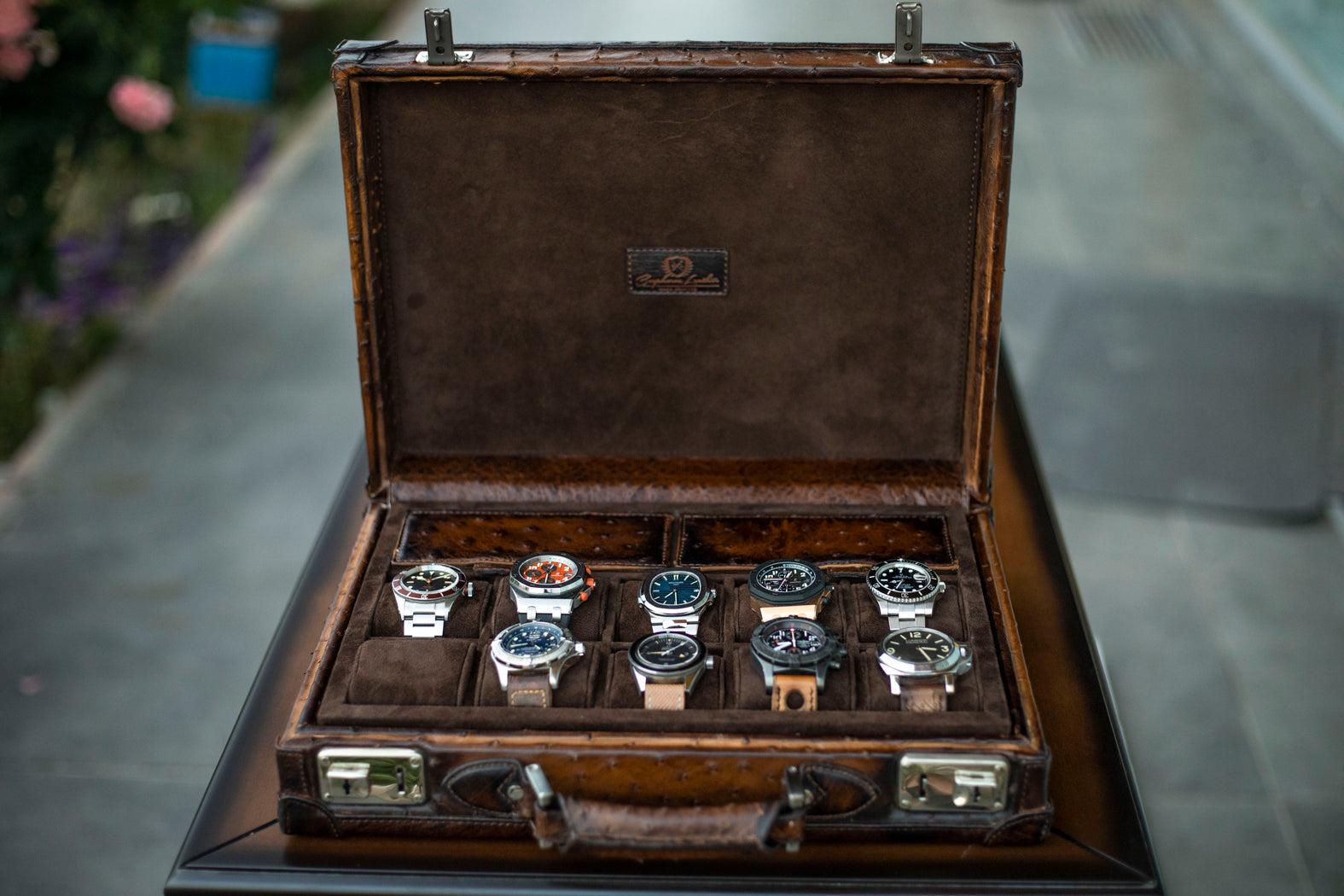 Watch Collector Case - Ostrich Patina Brown