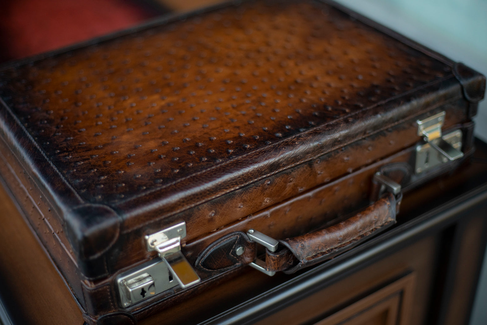 Watch Collector Case - Ostrich Patina Brown