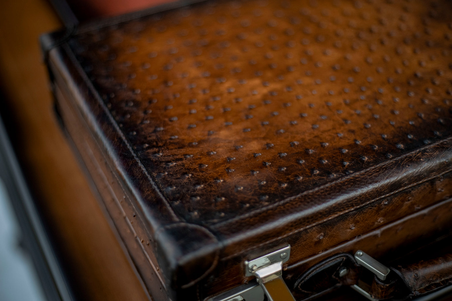 Watch Collector Case - Ostrich Patina Brown